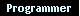Programmer